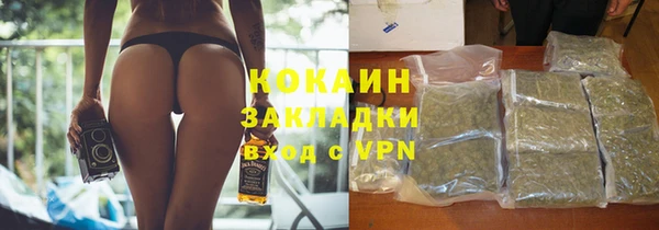 прущие грибы Нягань