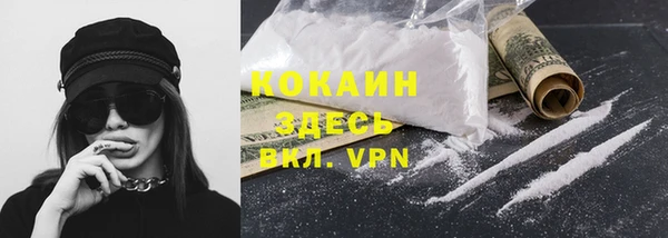 прущие грибы Нягань
