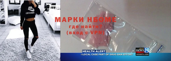 хмурый Няндома