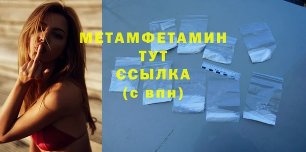прущие грибы Нягань