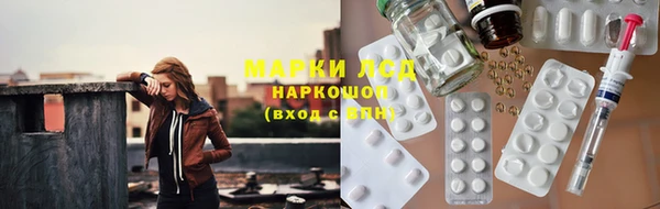хмурый Няндома