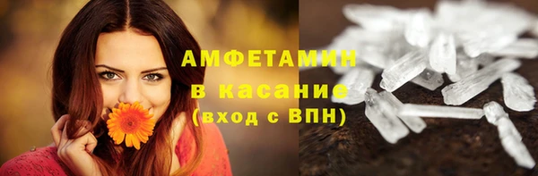хмурый Няндома