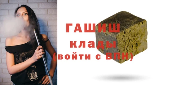 хмурый Няндома