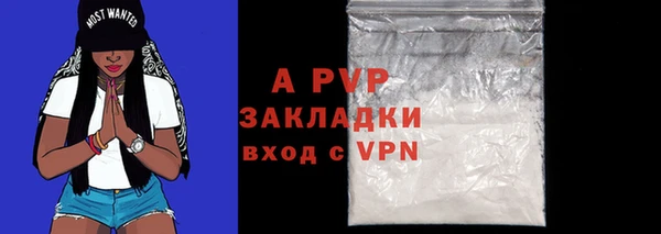 прущие грибы Нягань
