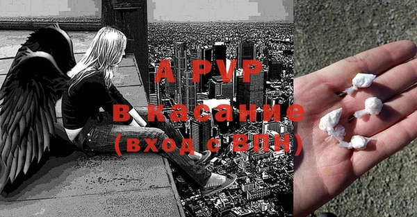 прущие грибы Нягань