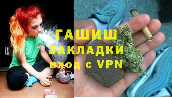 прущие грибы Нягань