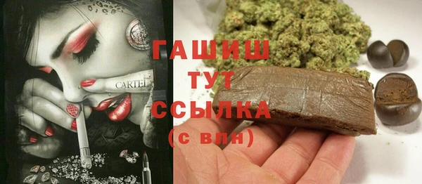 хмурый Няндома