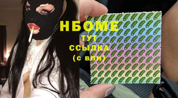 хмурый Няндома