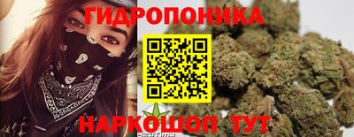 дурь Берёзовский