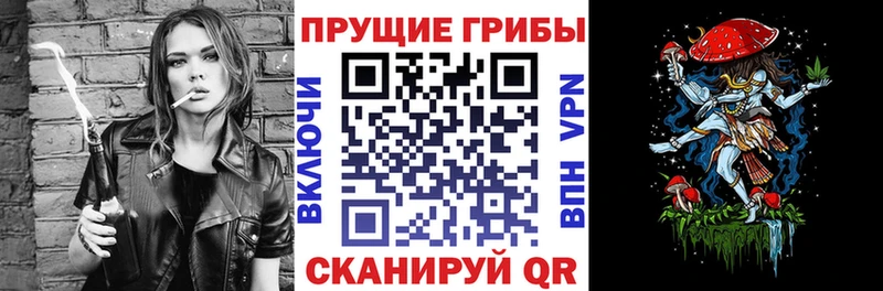 ссылка на мегу ССЫЛКА где купить наркотик Унеча Псилоцибиновые грибы GOLDEN TEACHER