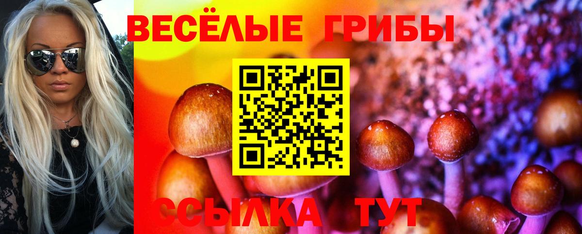 Галлюциногенные грибы прущие грибы Унеча