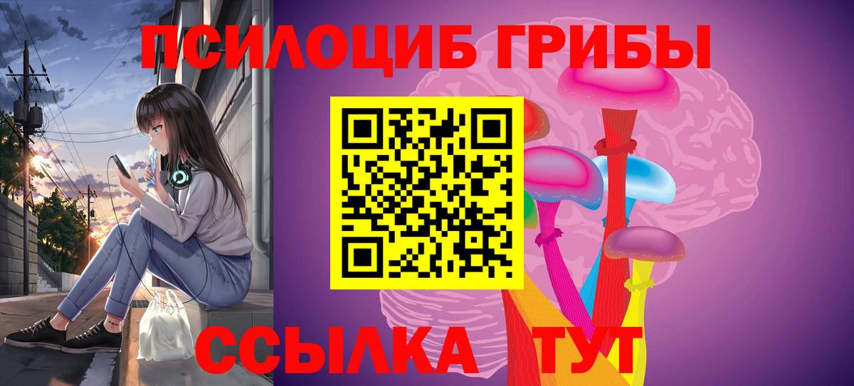 Унеча  Галлюциногенные грибы MAGIC MUSHROOMS  Вход с VPN 